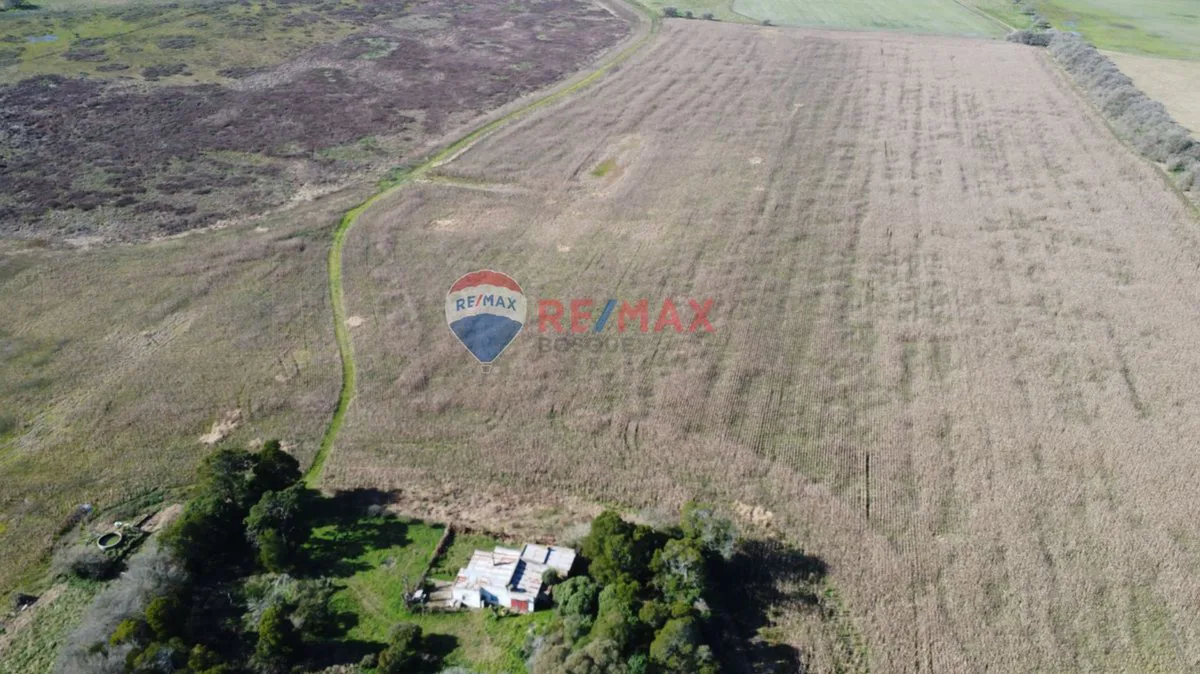 CAMPO VENTA 32 HECTAREAS EN GENERAL MADARIAGA foto 3