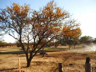 OPORTUNIDADES EN SAN LUIS!! LOTES TERRENOS DESDE $85.000 foto 1