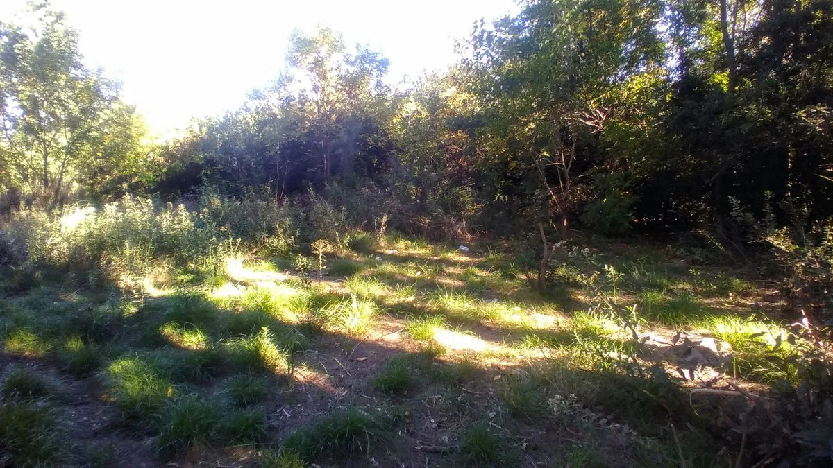 Venta lote en Merlo 690 m2 totales foto 4