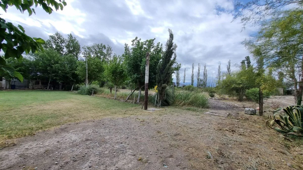 Terreno de 2.988 m2. Quinto Cuartel, Pocito foto 3