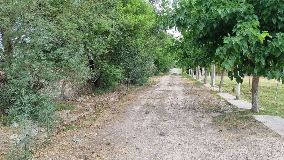 Terreno de 2.988 m2. Quinto Cuartel, Pocito foto 4