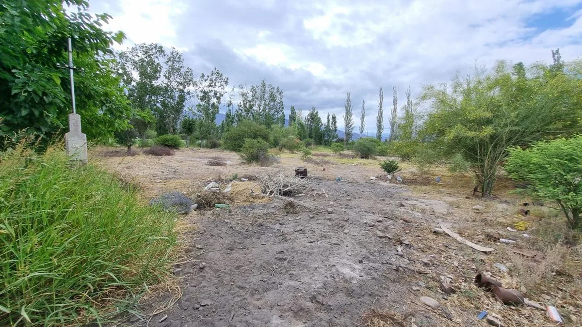 Terreno de 2.988 m2. Quinto Cuartel, Pocito foto 5