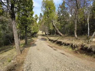 HERMOSO TERRENO EN LAGUNA BRYCHAN, TREVELIN foto 1