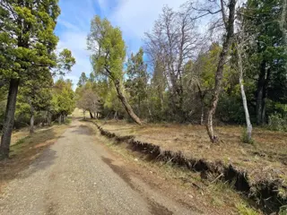 HERMOSO TERRENO EN LAGUNA BRYCHAN, TREVELIN foto 4
