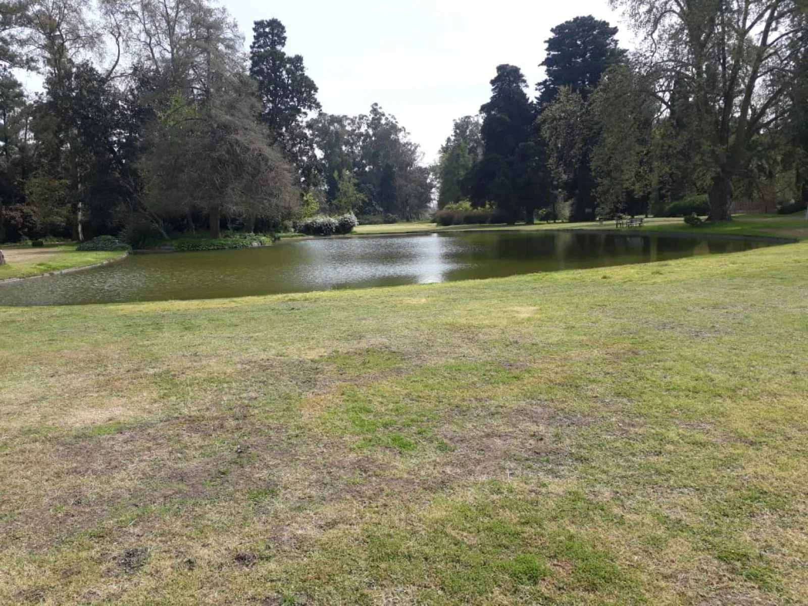 VENTA TERRENOS ESTANCIA VILLA MARÍA CARLOS SPEGAZZINI foto 4