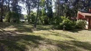 Se VENDE Quinta Sobre Rio Lujan y Canal Arias OPORTUNIDAD foto 3