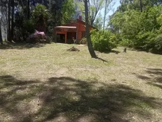 Se VENDE Quinta Sobre Rio Lujan y Canal Arias OPORTUNIDAD foto 4
