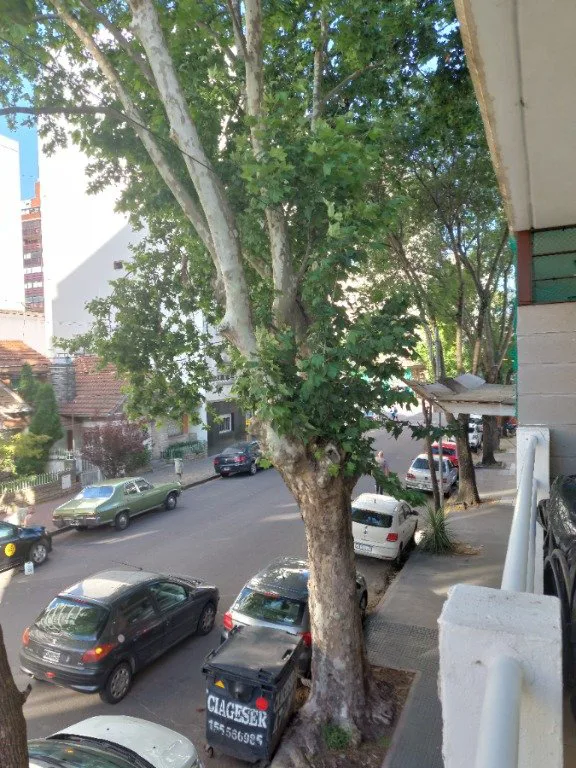 MAR DEL PLATA,LA PERLA,2AMB,FRENTE,BALCON,COCHERA, EXCELENTE ESTADO,METROS DE AV INDEPENDENCIA, foto 5