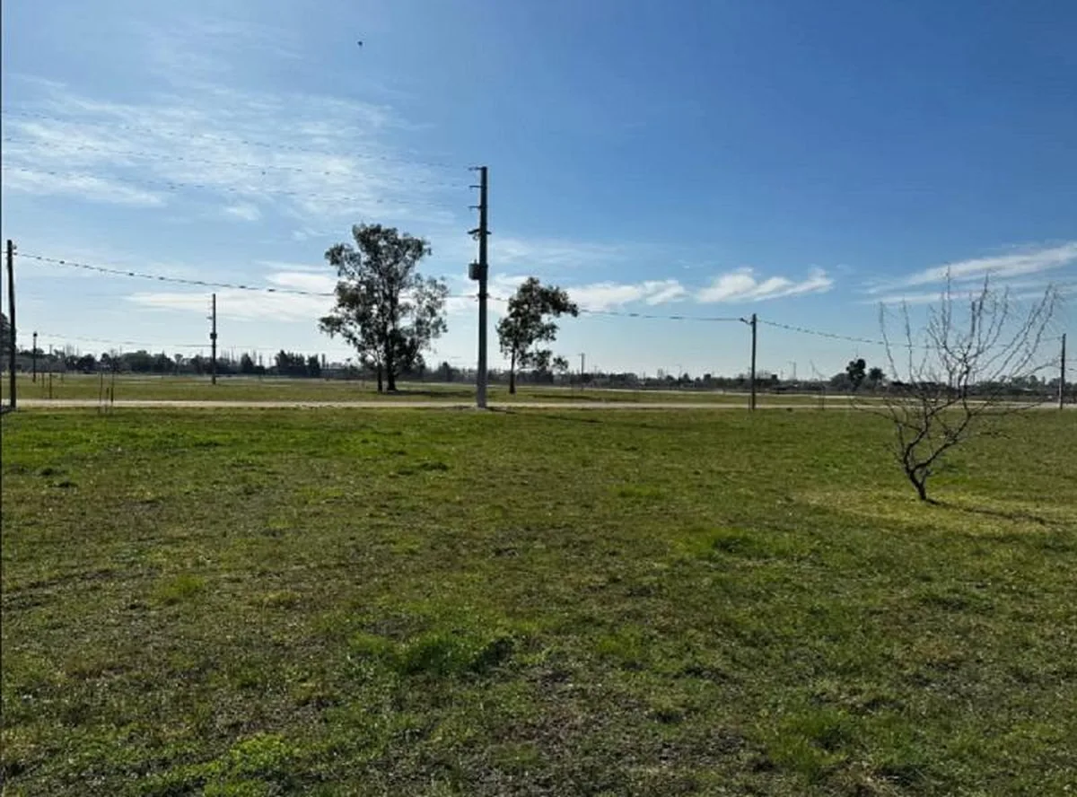 Fincas Joven - Lote: 216 foto 5