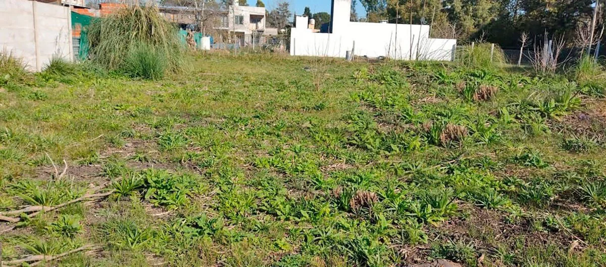 Venta lote 372m2 La Lonja Pilar foto 5