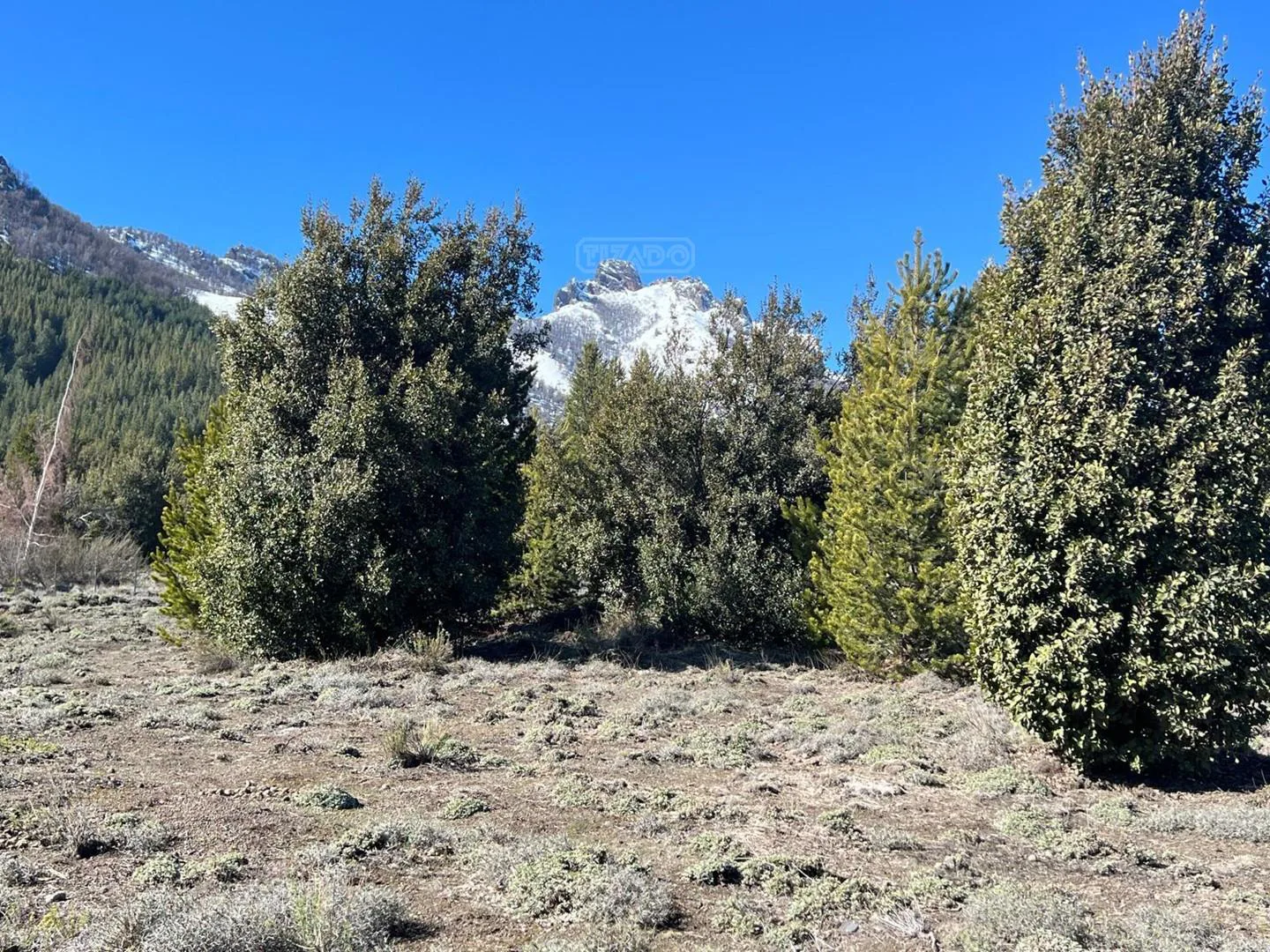 Ruta 63 foto 4