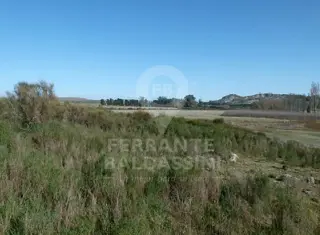 Tandil Cerro Leones 52 has, ideal desarrollo urbanístico, country, loteo - Ruta 30
son 32 has agricolas, resto ganadero.con alambrado perimetral foto 1
