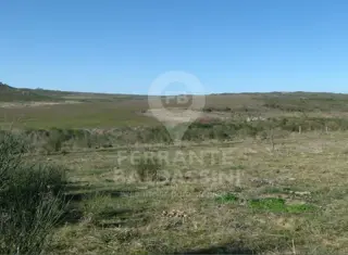 Tandil Cerro Leones 52 has, ideal desarrollo urbanístico, country, loteo - Ruta 30
son 32 has agricolas, resto ganadero.con alambrado perimetral foto 3