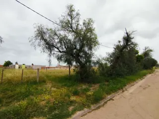 TERRENO EN VENTA EN VILLA HARDING GREEN foto 2