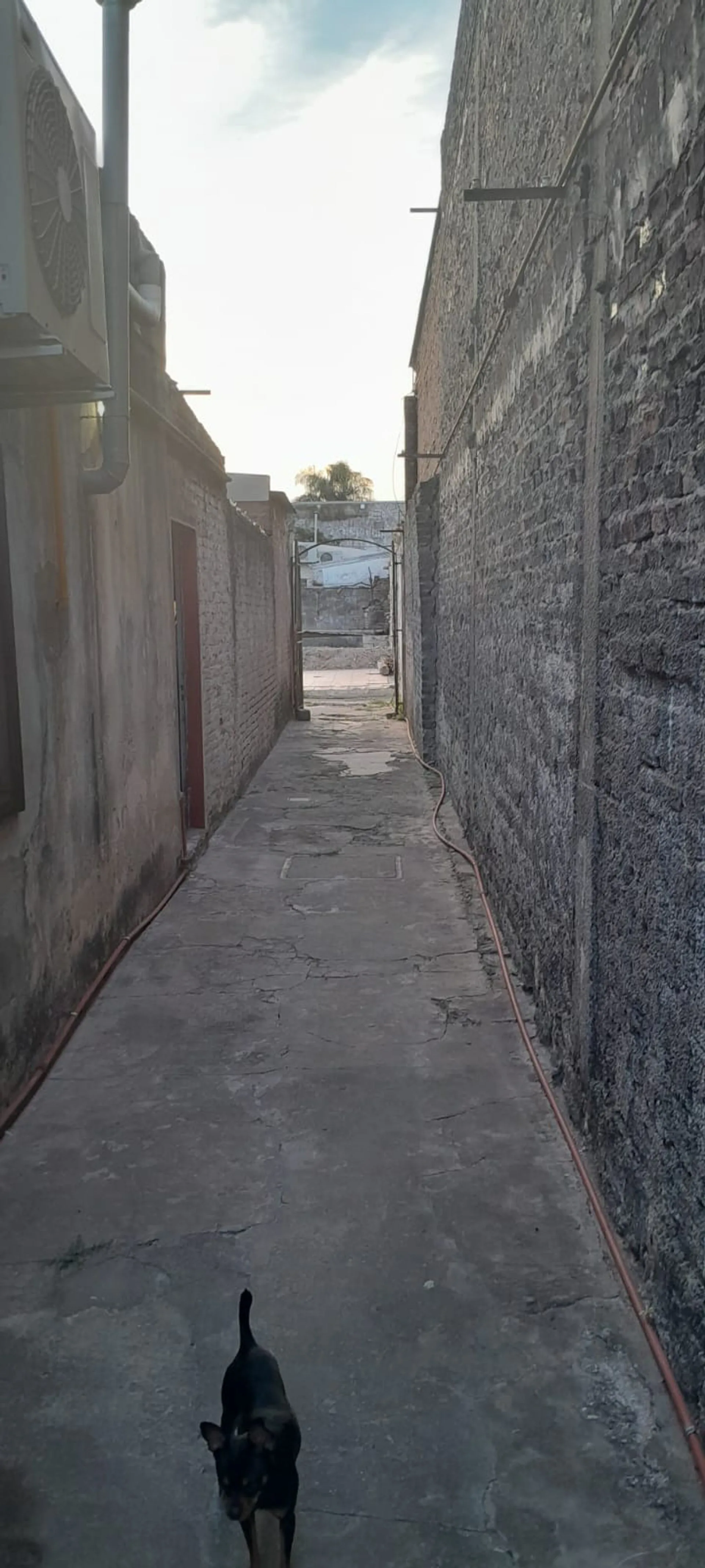 TERRENO EN SAN MARTIN 7159 foto 4
