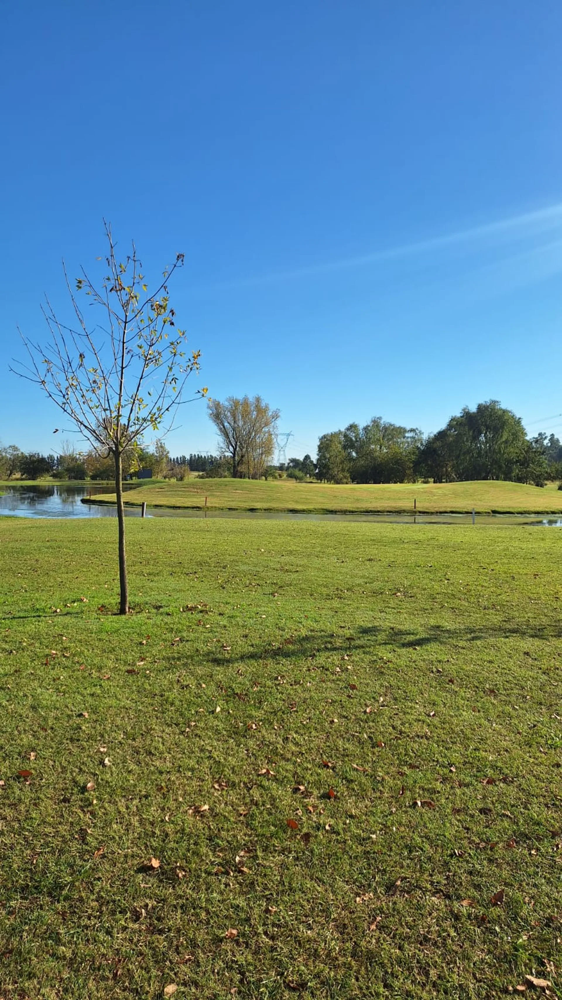 Medal Country Club Lote en Venta - Pilar foto 4