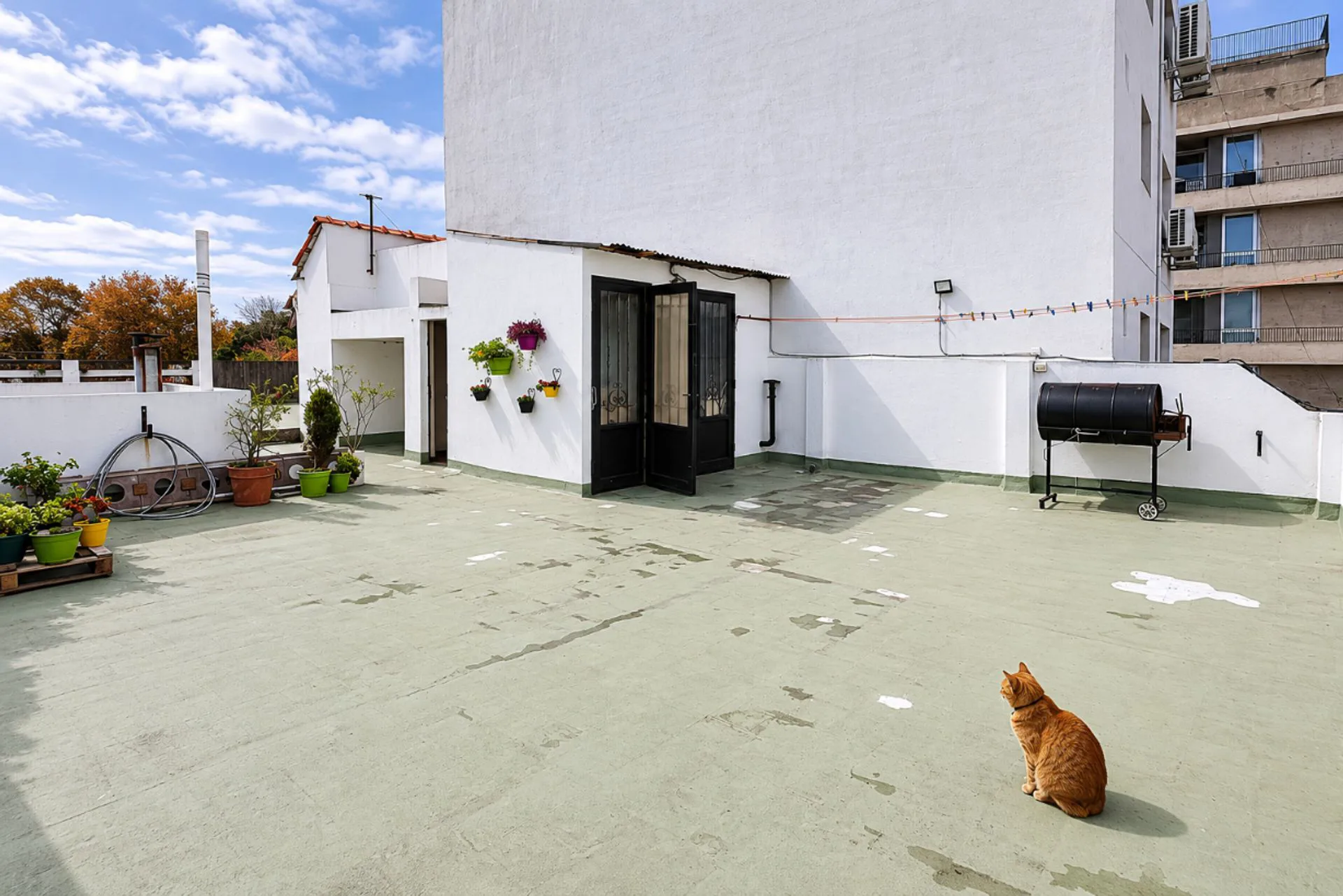 VENTA PH 3 AMB VICENTE LOPEZ TERRAZA S/EXPENSAS foto 2