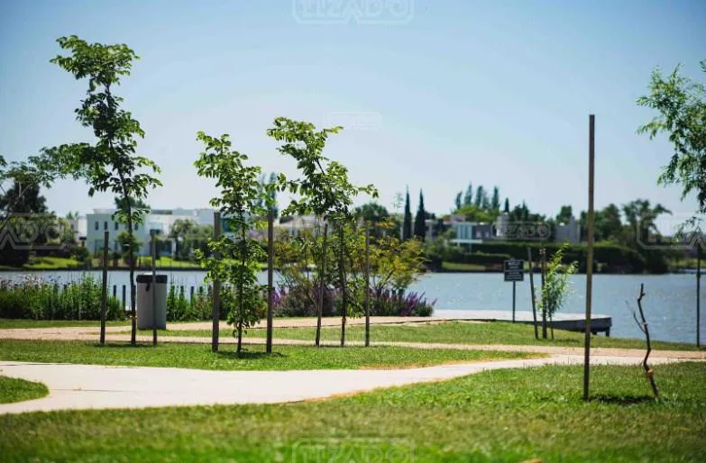 lote en El Golf 200 foto 4