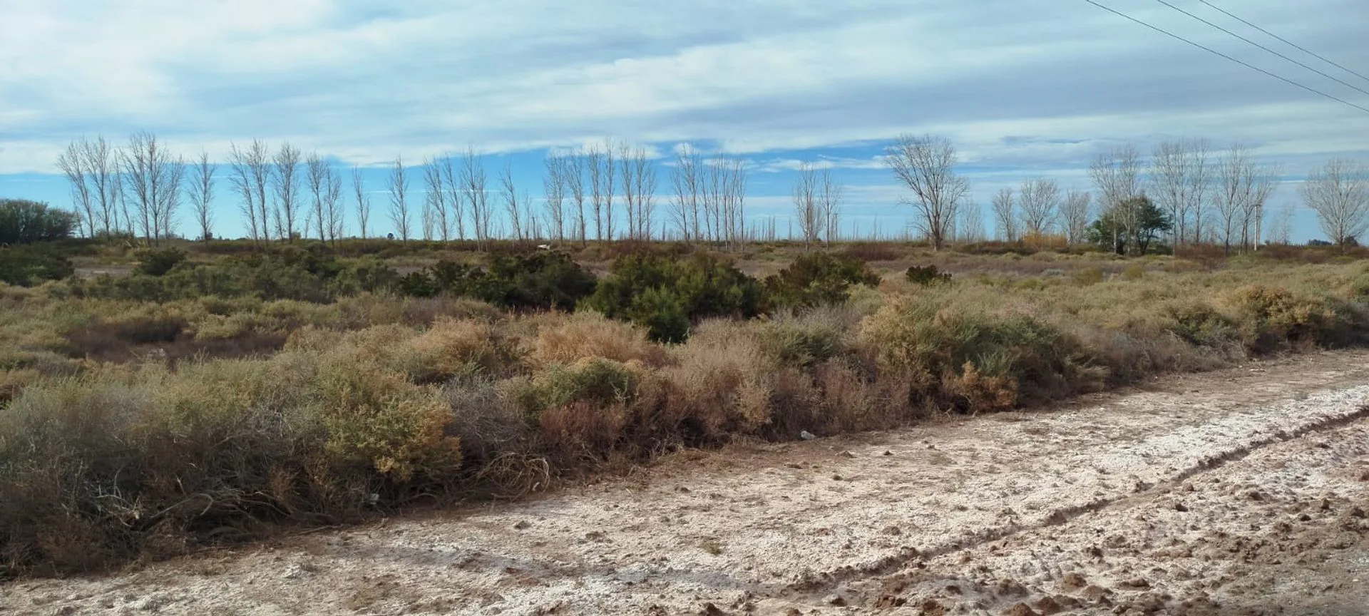 LOTE 2500M SOBRE RUTA 34 COSTA DE ARAUJO, LAVALLE foto 2