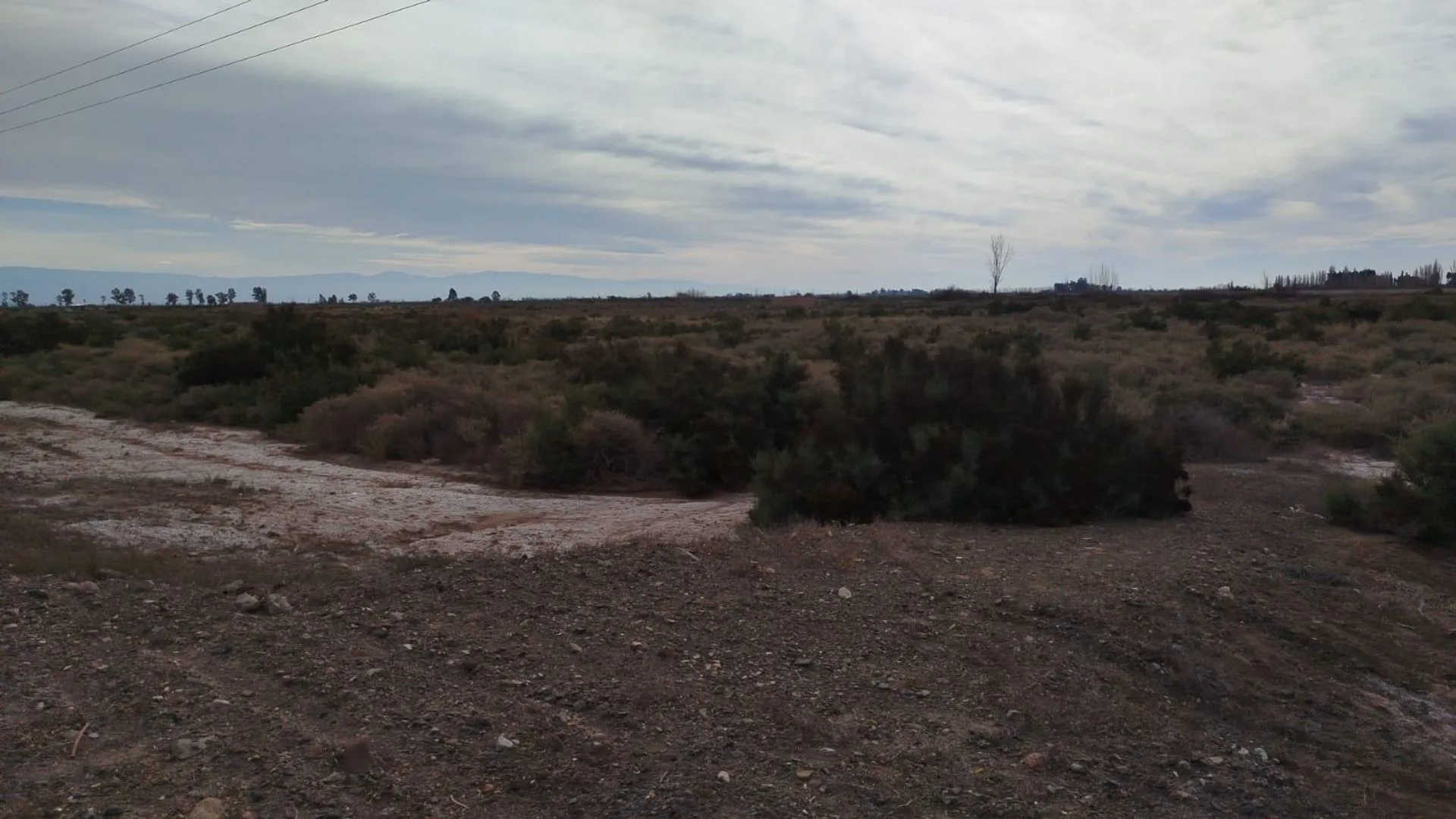 LOTE 2500M SOBRE RUTA 34 COSTA DE ARAUJO, LAVALLE foto 3