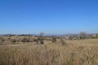 Apto para loteo 10 hectáreas al ingreso a TANTI
Vende De Blasis Bienes Raices foto 2