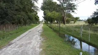 ESTABLECIMIENTO GANADERO FUNCIONANDO 345 has. en Punta Indio. foto 1