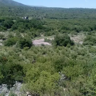Excelente Campo Ideal Emprendimiento Turístico foto 2