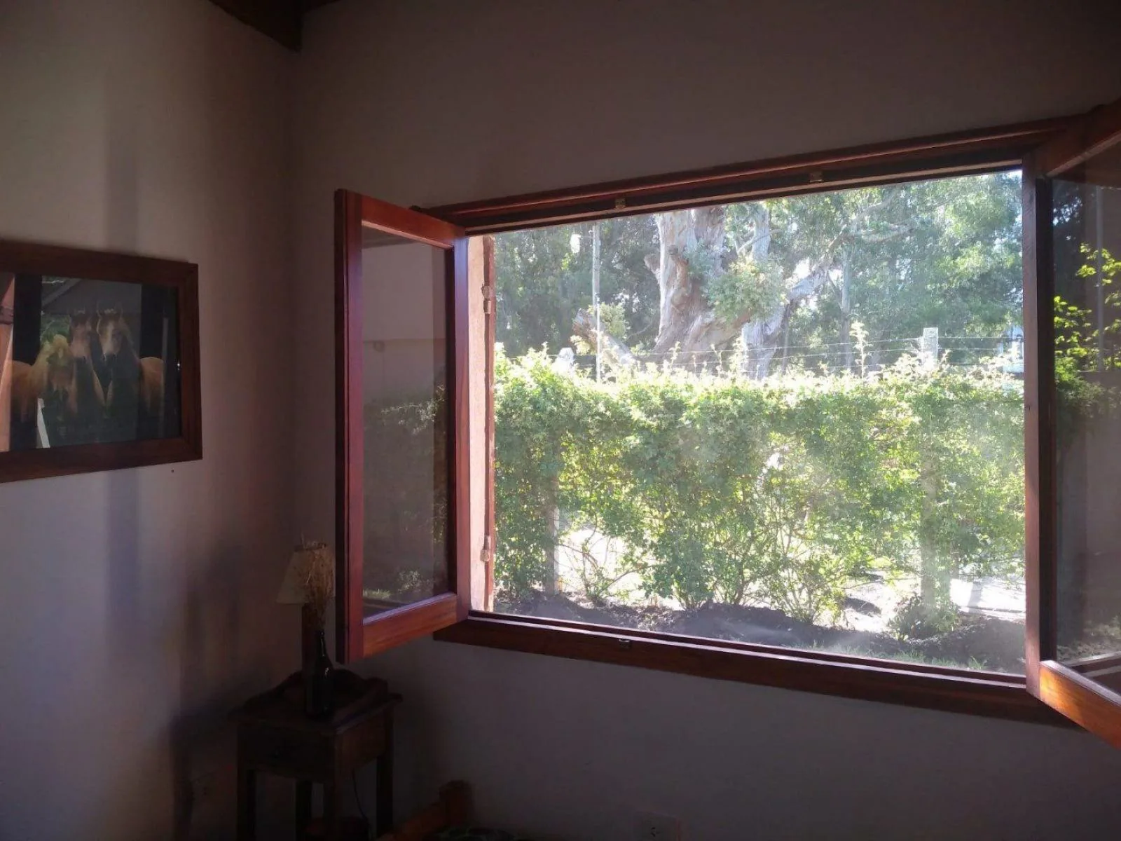 Country-Style 2-Bedroom House with Large Yard in Parque Bristol, Miramar – photo 18 of 24