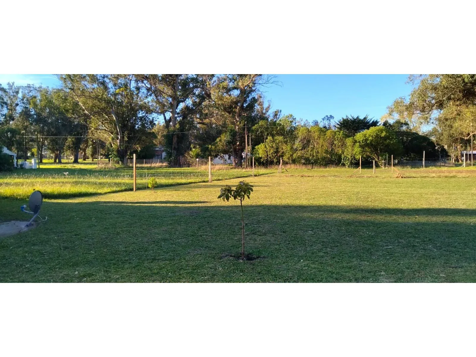 Country-Style 2-Bedroom House with Large Yard in Parque Bristol, Miramar – photo 22 of 24