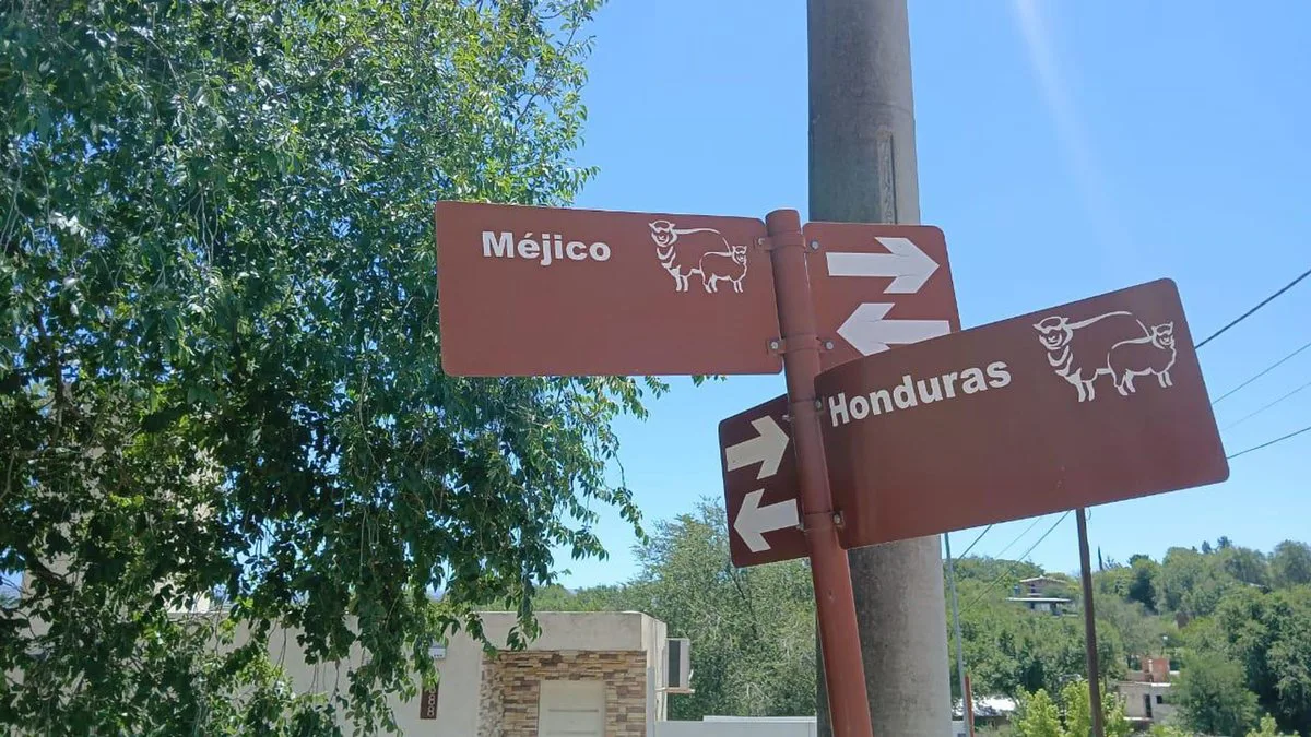 VENTA LOTE 630 M2 TANTI 4 CUADRAS DE LA  RUTA 28 foto 4