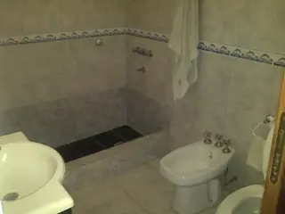 Local Comercial, galpon y 2 deptos foto 2