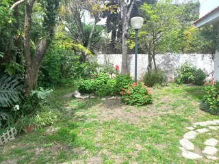 Casa en Venta PH 3 ambientes Fondo y Garaje Haedo Norte foto 5