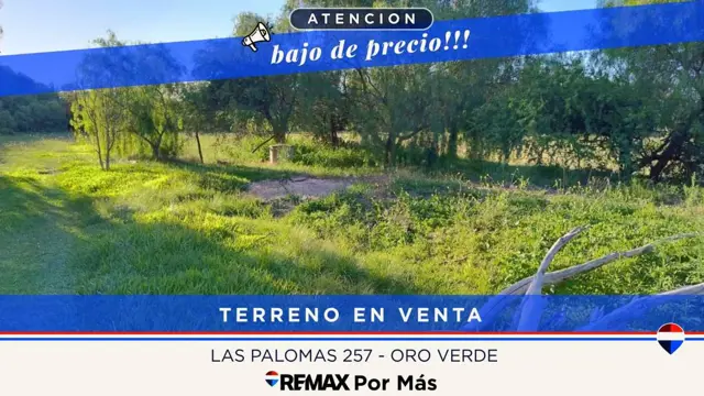 Lote 250m² en Oro Verde