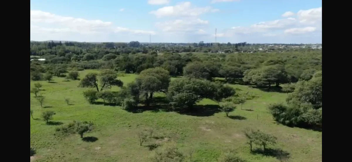 VENTA MACROLOTE 60.000 M2 VILLA DEL TOTORAL foto 4