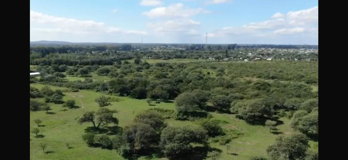 VENTA MACROLOTE 60.000 M2 VILLA DEL TOTORAL foto 5