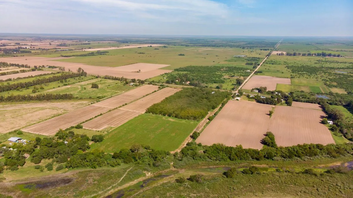 Campo a la venta en Santa Rosa de Calchines foto 5