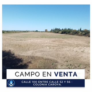 VENTA / 5 HECTÁREAS 7.505 m2, Colonia Caroya. foto 1