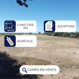 VENTA / 5 HECTÁREAS 7.505 m2, Colonia Caroya. foto 2