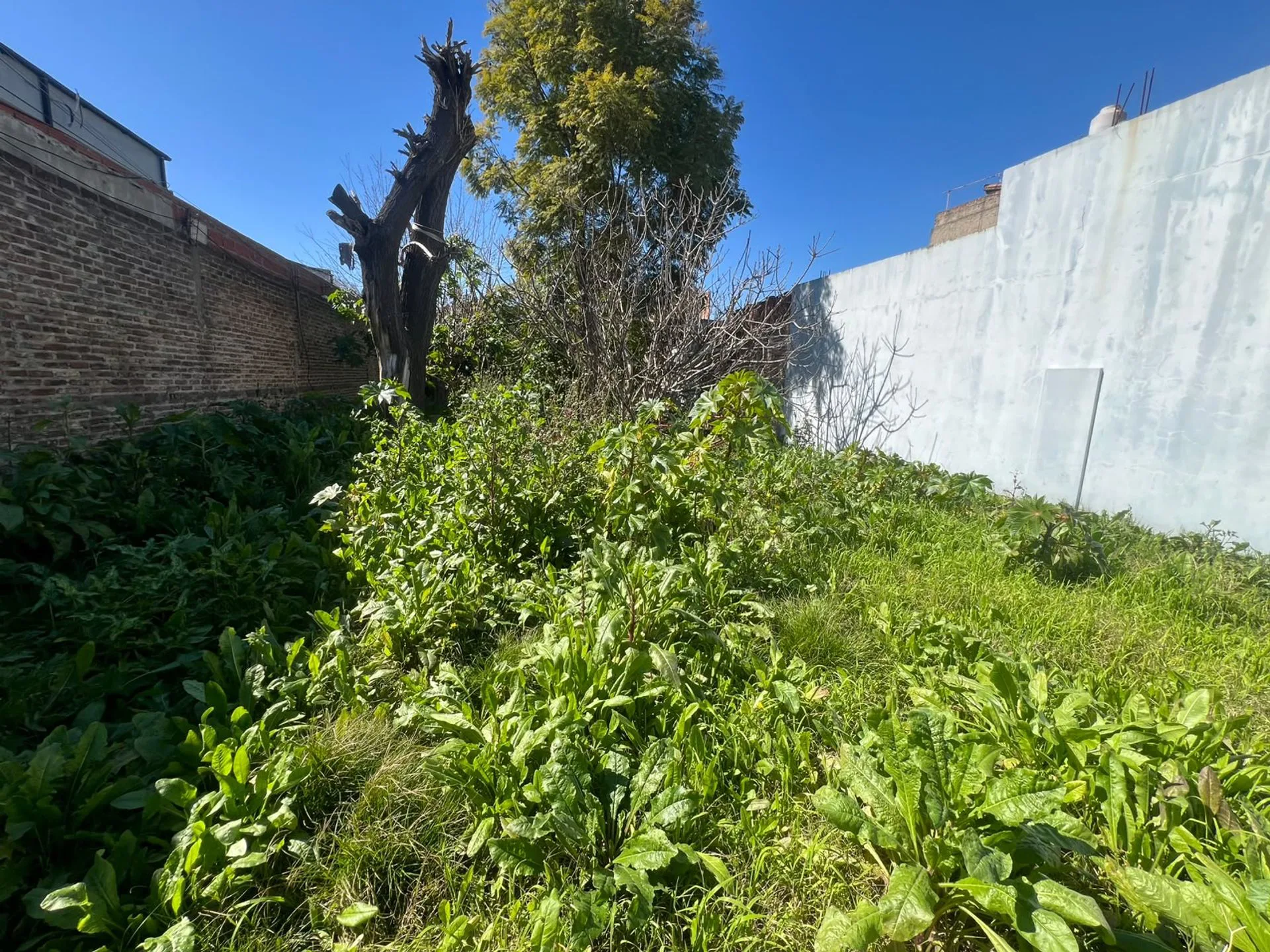 Venta de Lote en Temperley foto 3