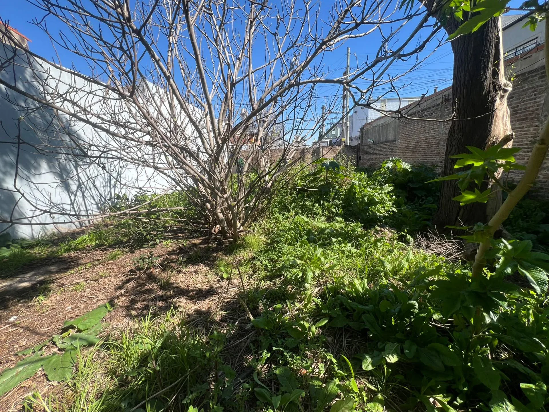 Venta de Lote en Temperley foto 4