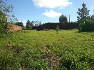 Hermoso Lote sobre Ruta Nacional nº 14 San Vicente foto 4
