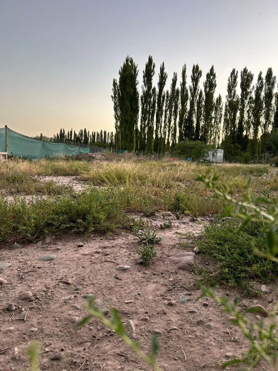 LOTE EN VENTA -PERDRIEL LUJAN DE CUYO foto 2