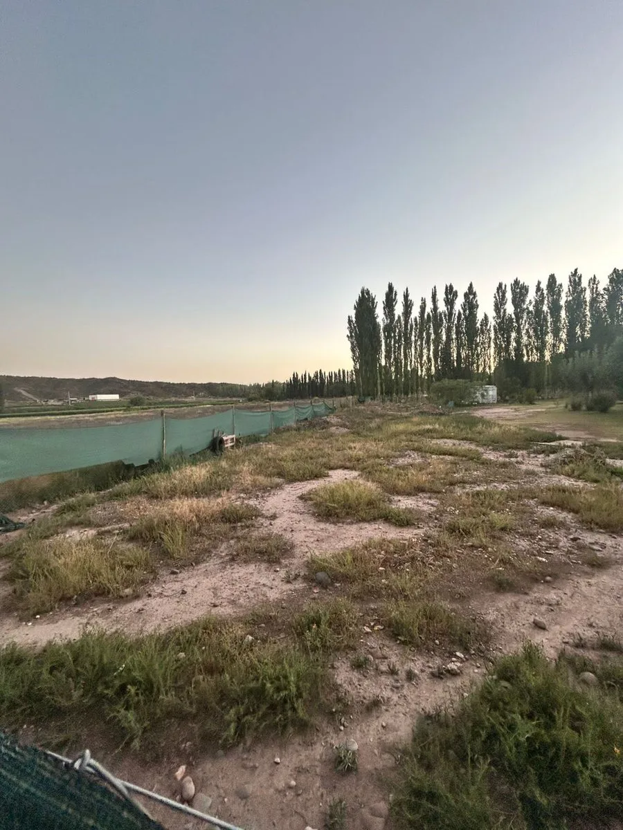 LOTE EN VENTA -PERDRIEL LUJAN DE CUYO foto 3