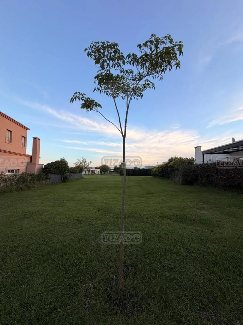 San Ramiro- Pilar del Este Ruta 25 y Av Parque en Barrio San Ramiro al 1100 Lote 145 foto 4