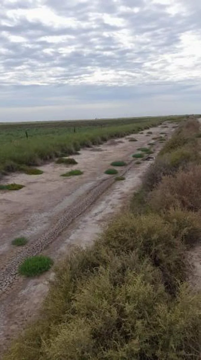 CAMPO GANADERO 2200 HECTAREAS EN LOGROÑO foto 3