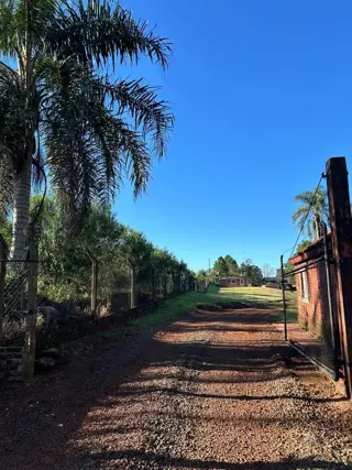Alquiler Galpón y Oficina 728m2 1 Hectárea Ruta 5 Oberá Mnes foto 2