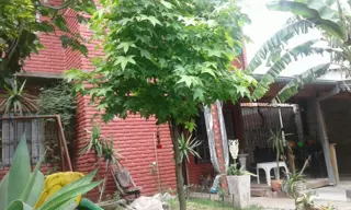 propiedad en venta en Bella Vista-NO APTA CREDITO foto 5