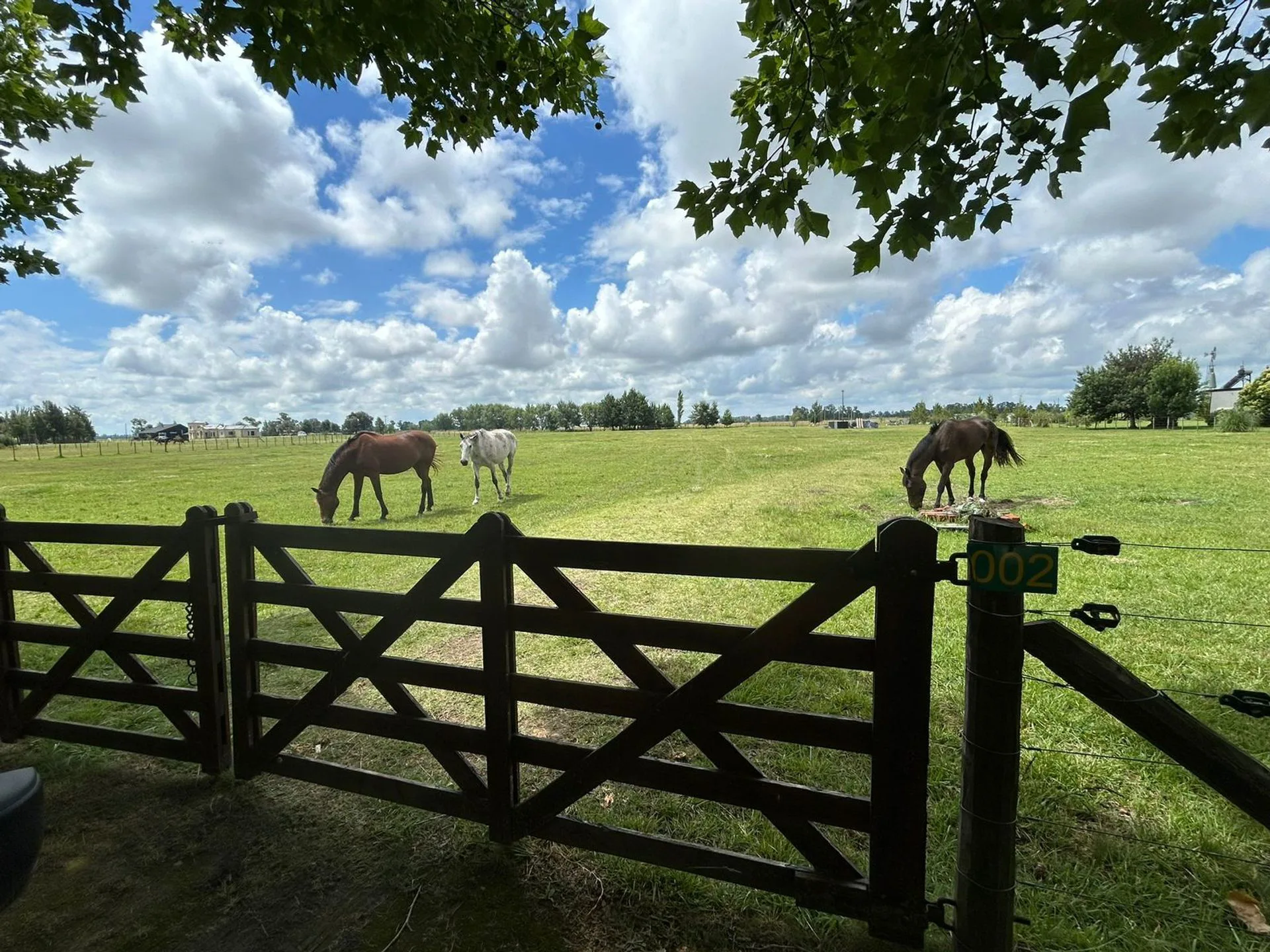 VENTA LOTE 16000 M2 EN CHACRAS DE ABBOTT foto 3