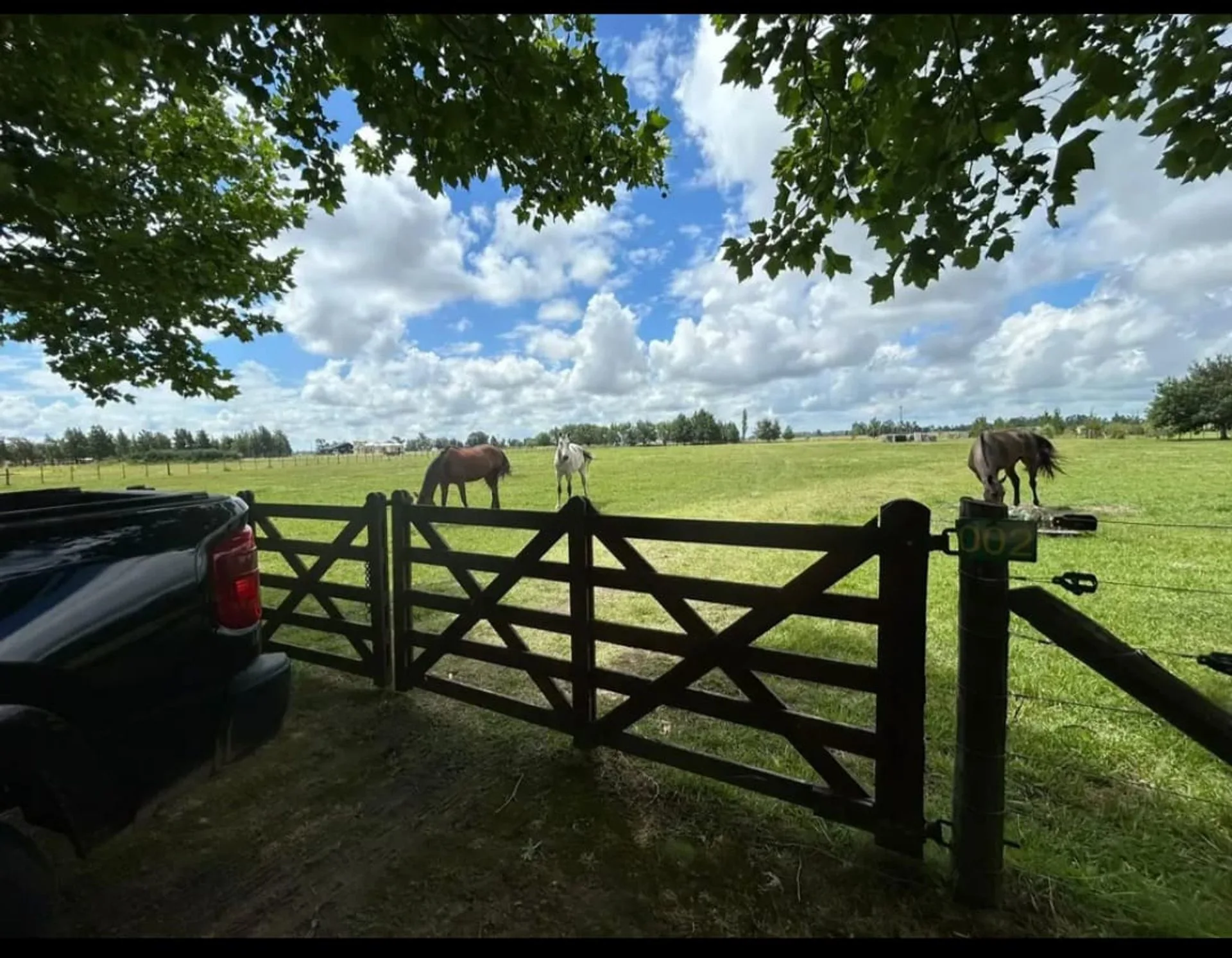 VENTA LOTE 16000 M2 EN CHACRAS DE ABBOTT foto 4