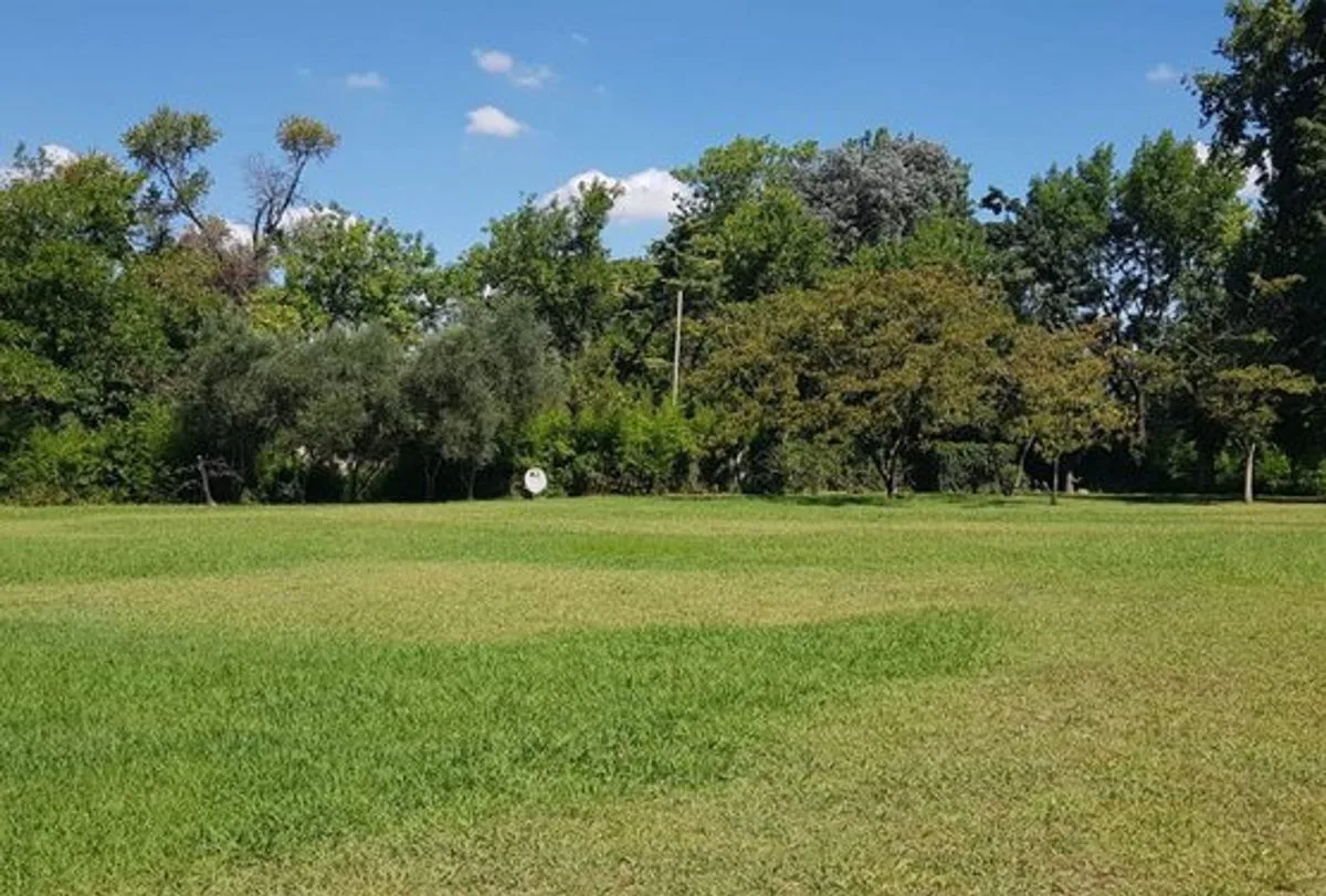 VENTA DE LOTE EN MORENO foto 2